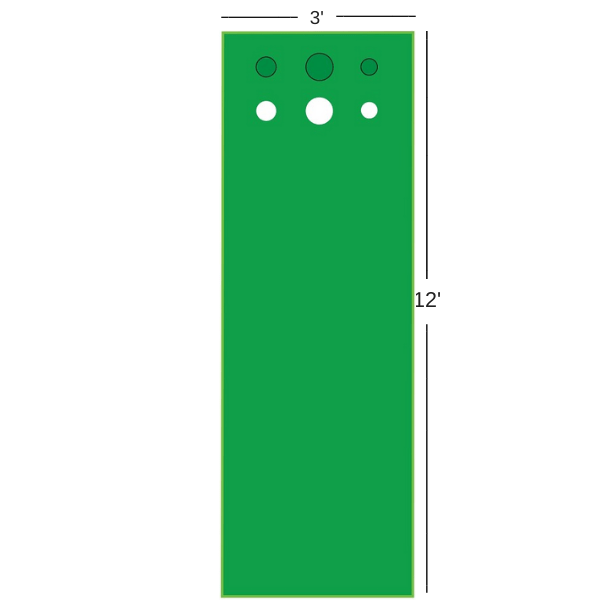 Big Moss Competitor Pro V2 Putting Green & Chipping Mat Putting Green Big Moss 